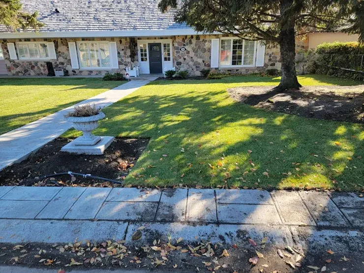 Landscaping project with grass, dity, and stone walkway. Regina, Saskatchewan.