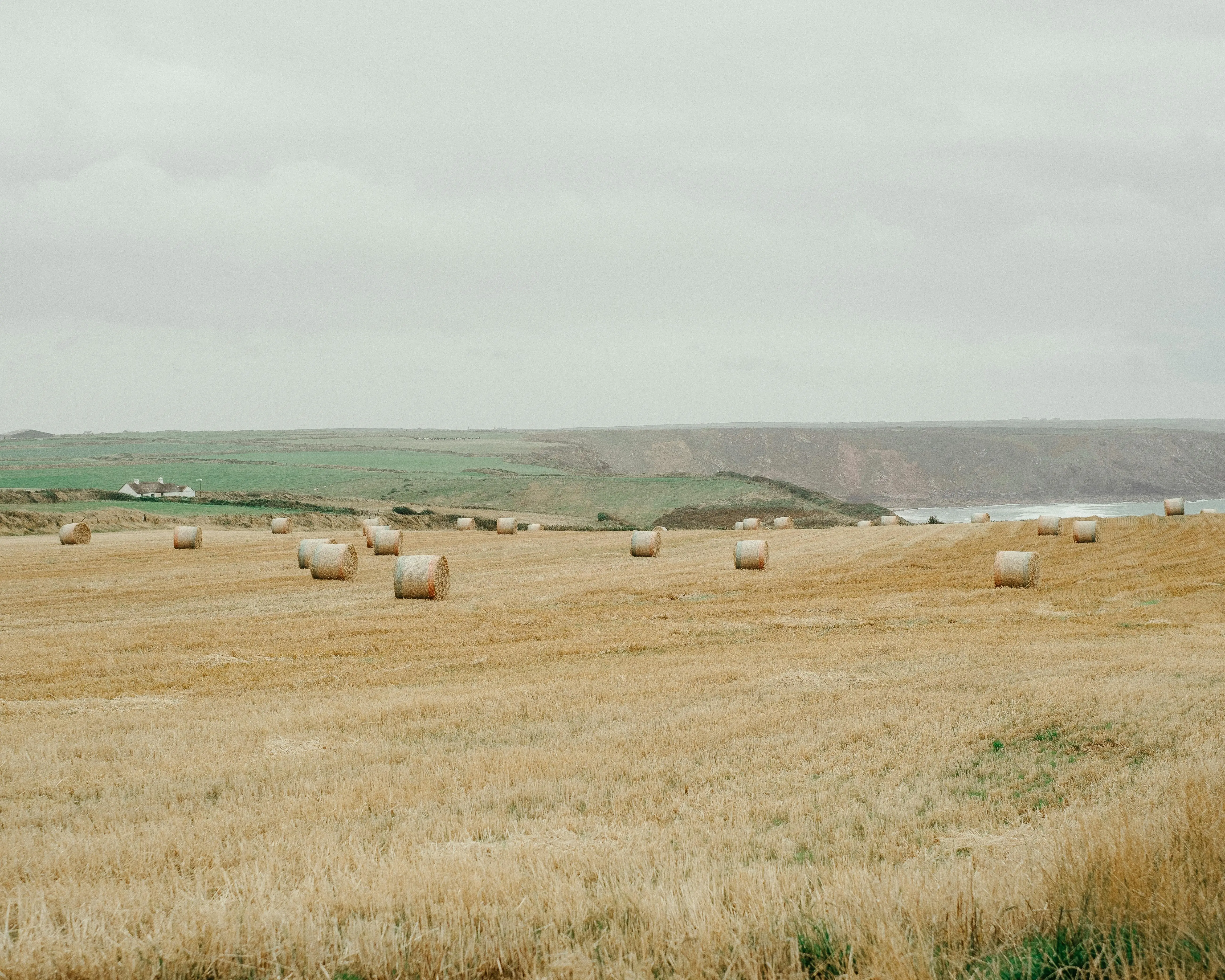 Hay bales in a field looking in the distance. Saskatchewan.